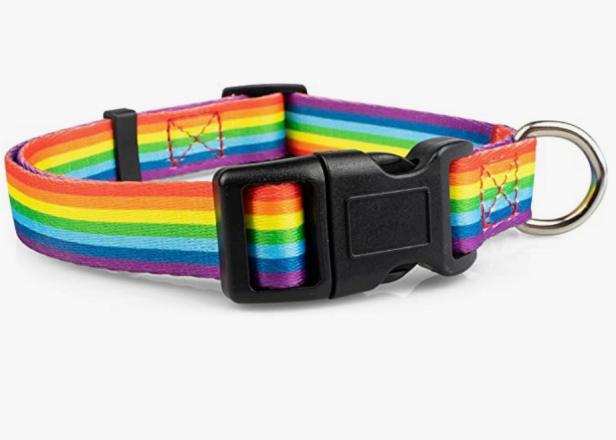 Dog discount pride gear